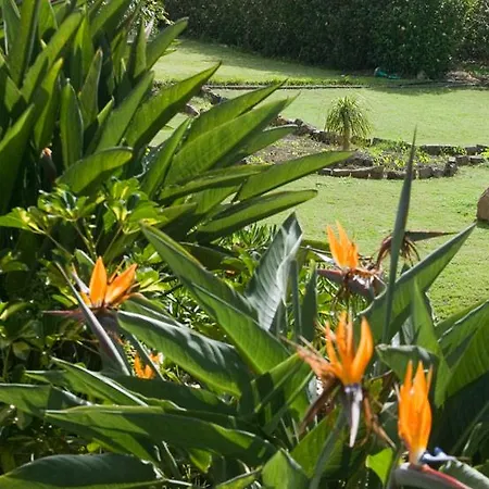 Quinta Mae Dos Homens