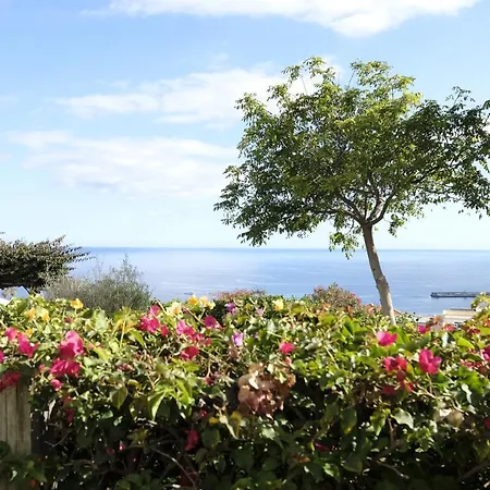 Lägenhetshotell Quinta Mae Dos Homens Funchal (Madeira)