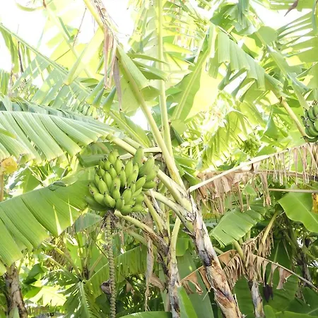 Quinta Mae Dos Homens Lägenhetshotell