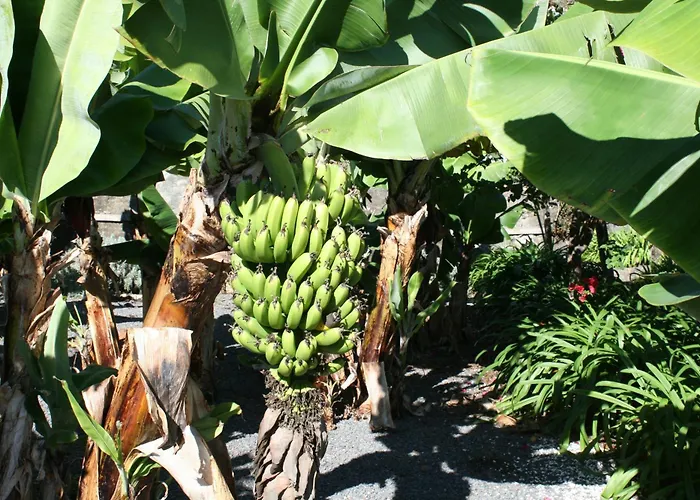 Appart hôtel Quinta Mae Dos Homens Funchal (Madeira)