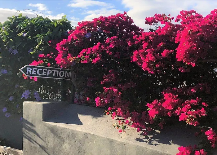 Quinta Mae Dos Homens Appart hôtel Funchal (Madeira)