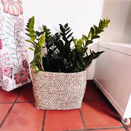 Aparthotel Quinta Mae Dos Homens Funchal (Madeira)