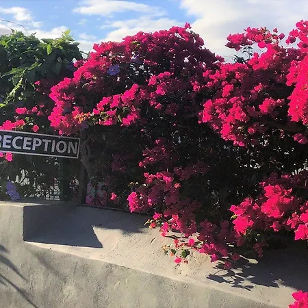 Quinta Mae Dos Homens شقة فندقية فونشال