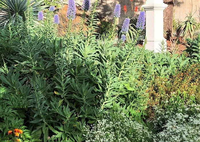 Quinta Mae Dos Homens 3* Funchal (Madeira)