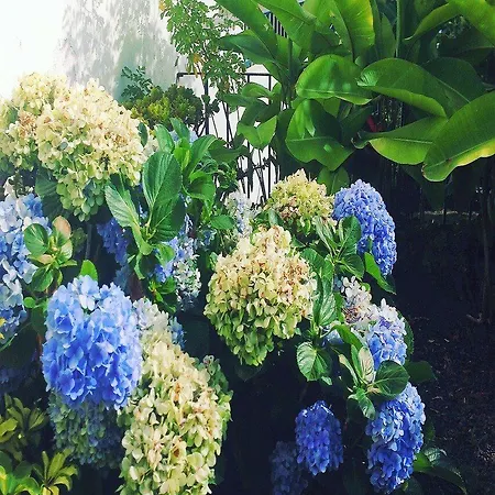 Appart hôtel Quinta Mae Dos Homens 3*