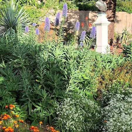 Quinta Mae Dos Homens 3* Φουνκάλ