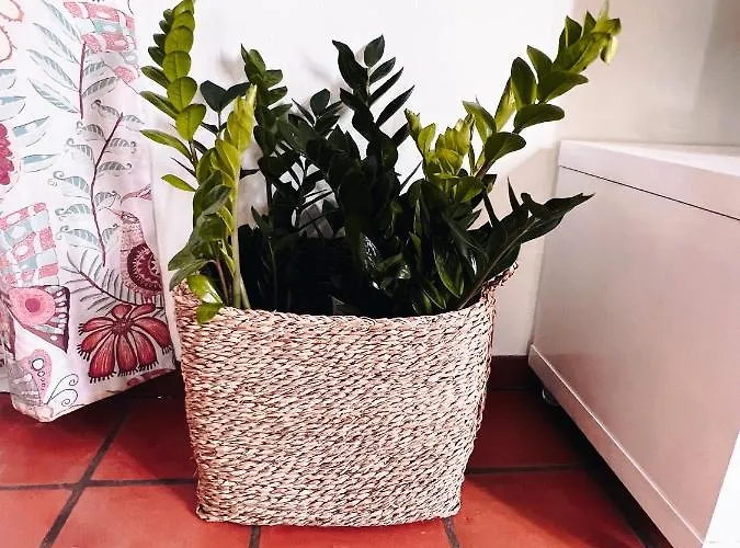 Апарт-отель Quinta Mae Dos Homens Фуншал