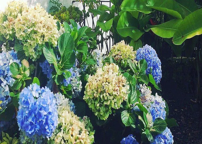 Апарт-отель Quinta Mae Dos Homens 3*